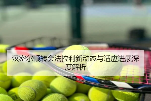 汉密尔顿转会法拉利新动态与适应进展深度解析