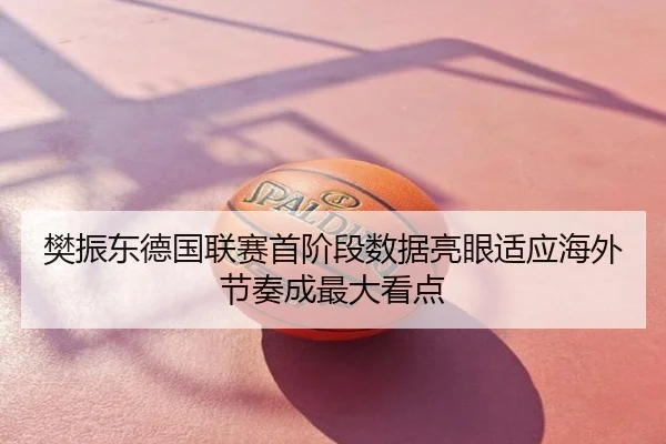 樊振东德国联赛首阶段数据亮眼适应海外节奏成最大看点